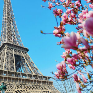 French